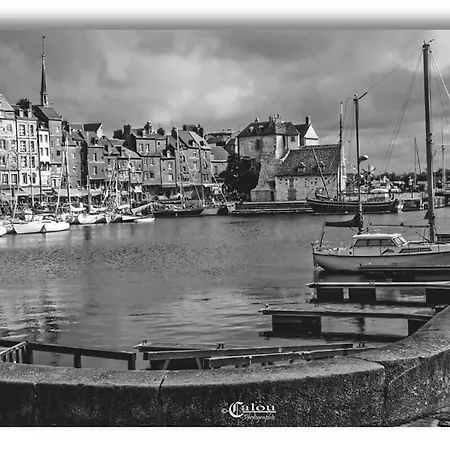 La Viree Aux Flots * Honfleur